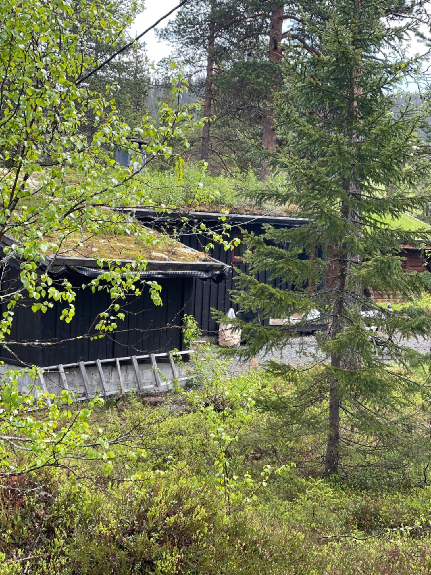 Vila Hytta Pa Oyfjell Exteriér fotografie