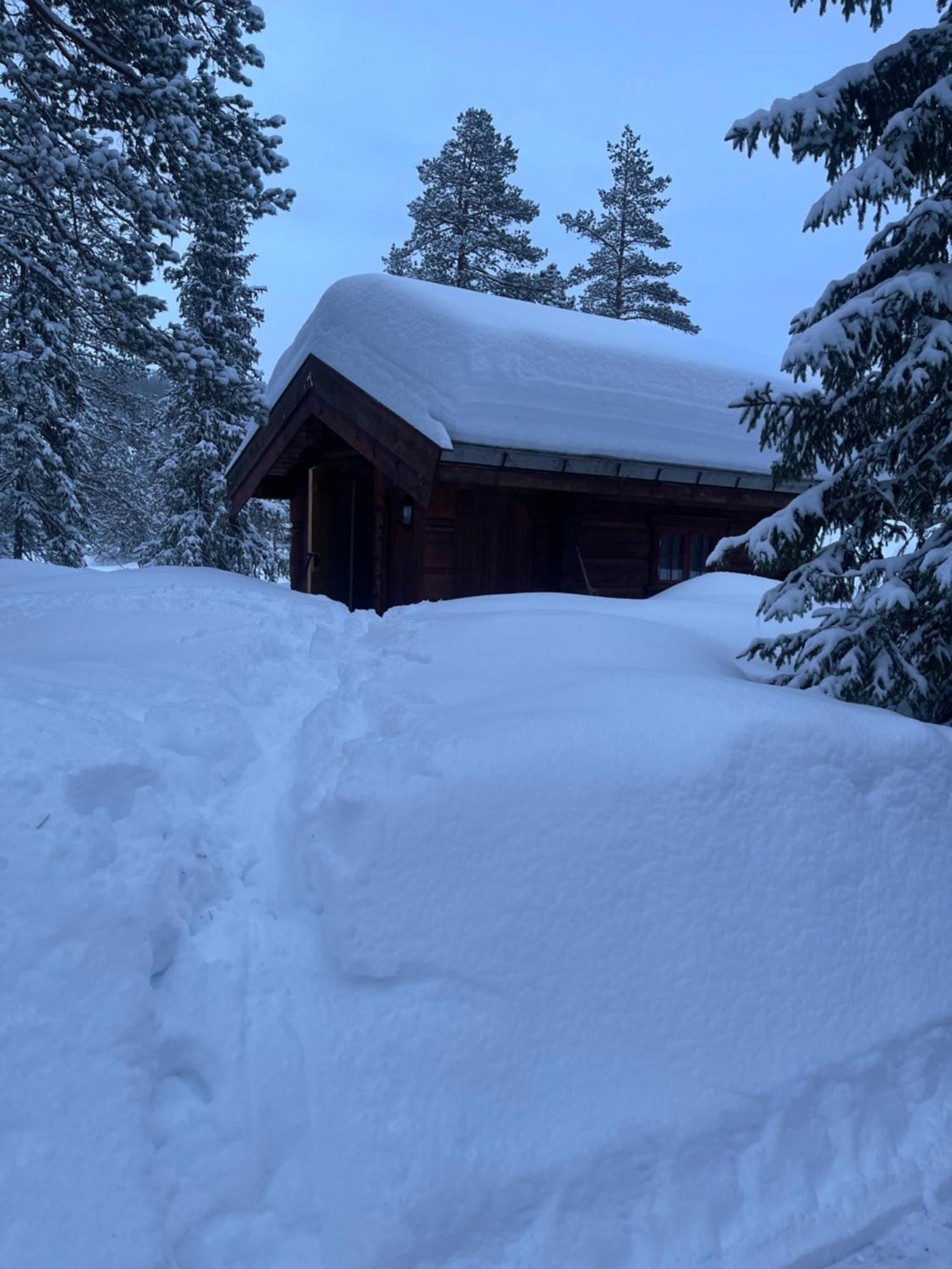 Vila Hytta Pa Oyfjell Exteriér fotografie