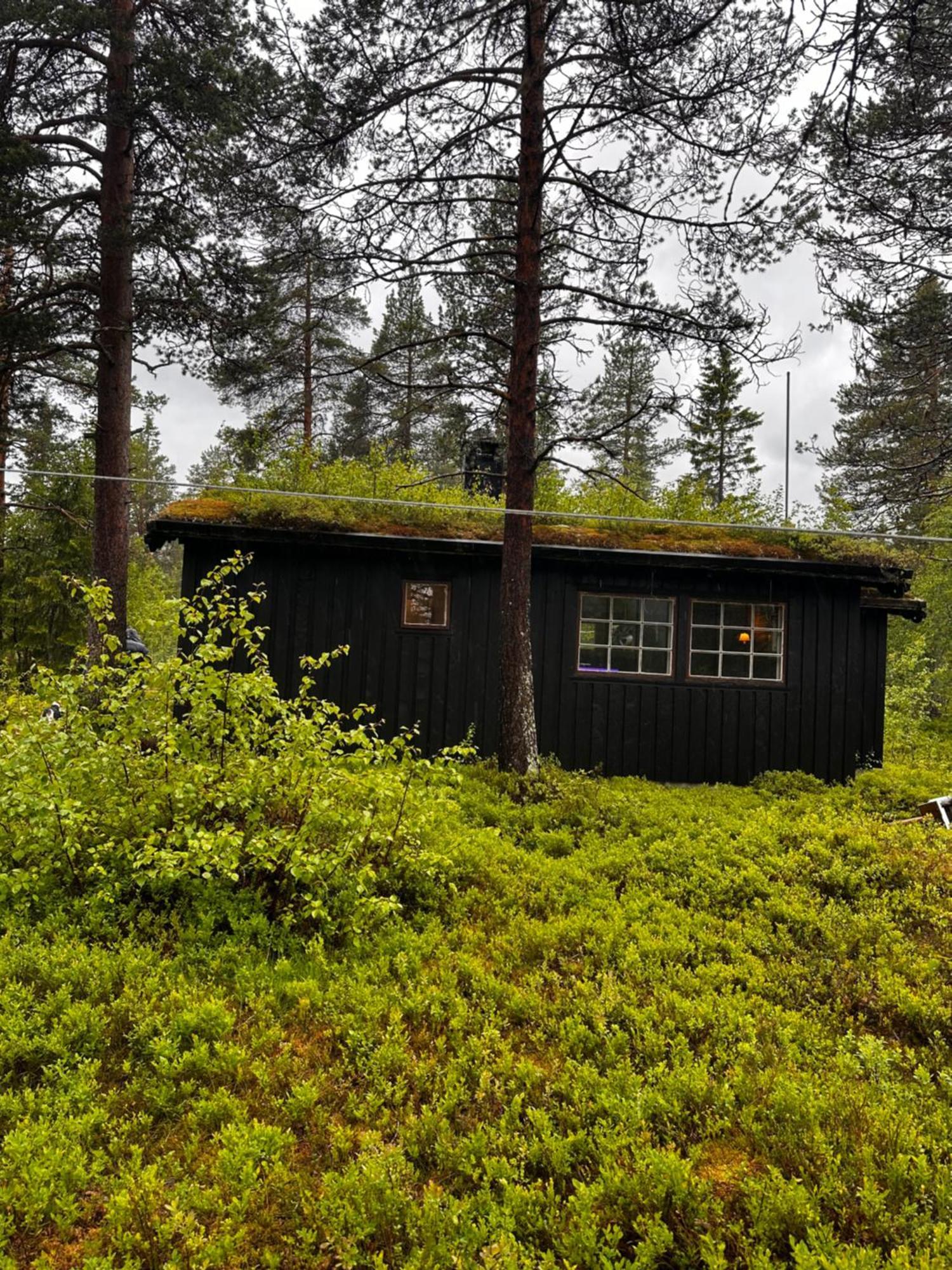 Vila Hytta Pa Oyfjell Exteriér fotografie