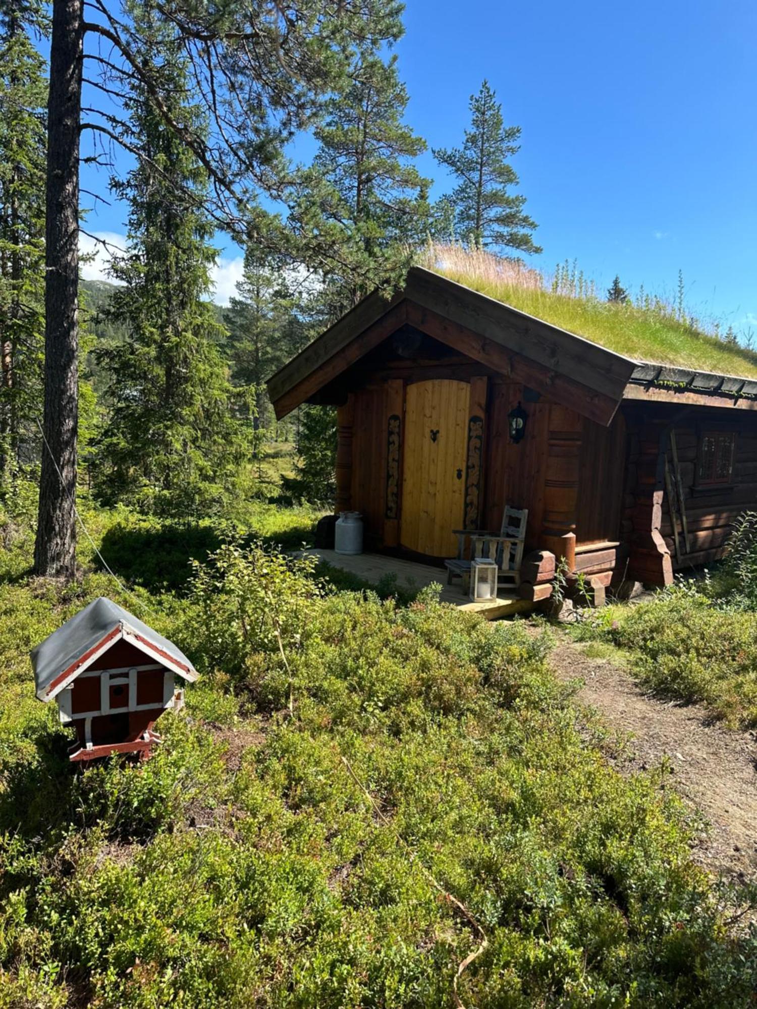 Vila Hytta Pa Oyfjell Exteriér fotografie