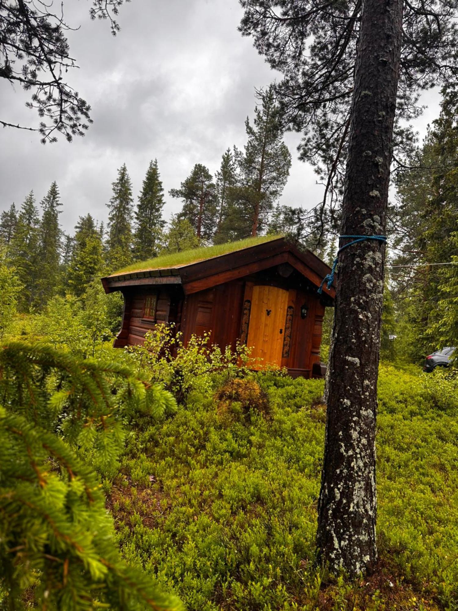 Vila Hytta Pa Oyfjell Exteriér fotografie