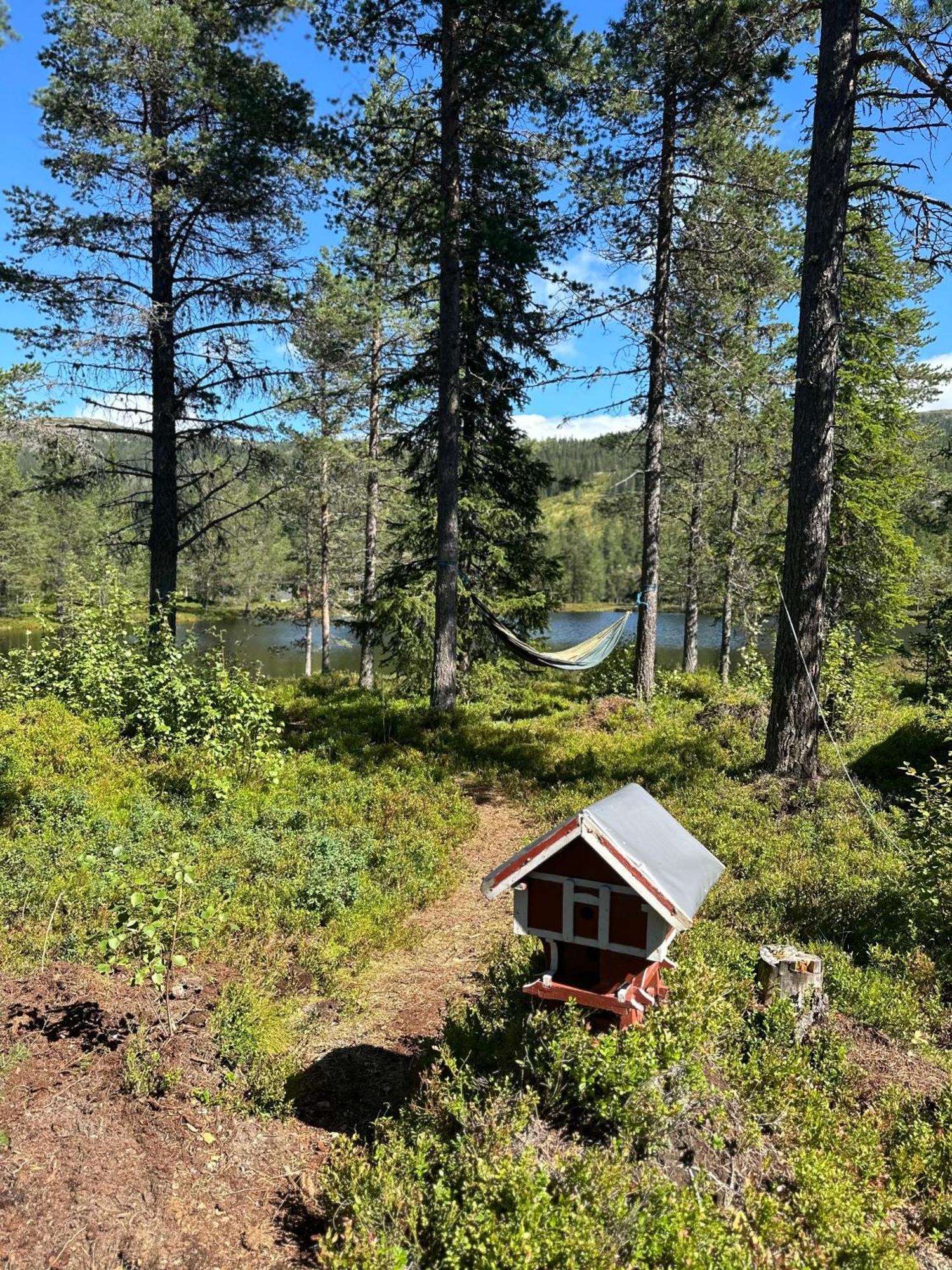 Vila Hytta Pa Oyfjell Exteriér fotografie