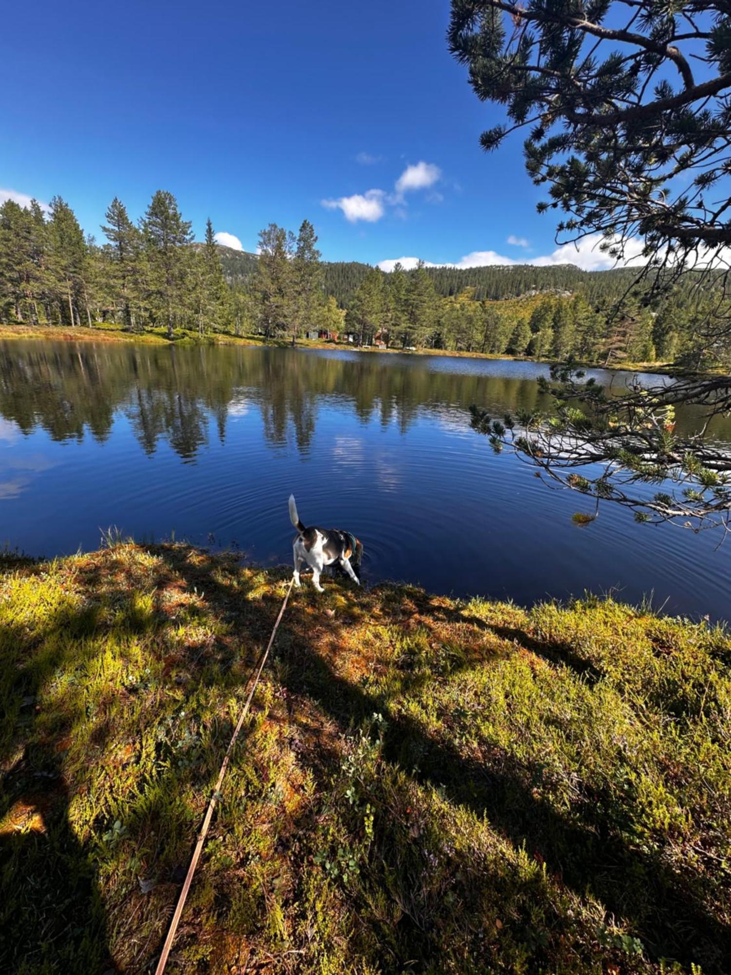 Vila Hytta Pa Oyfjell Exteriér fotografie