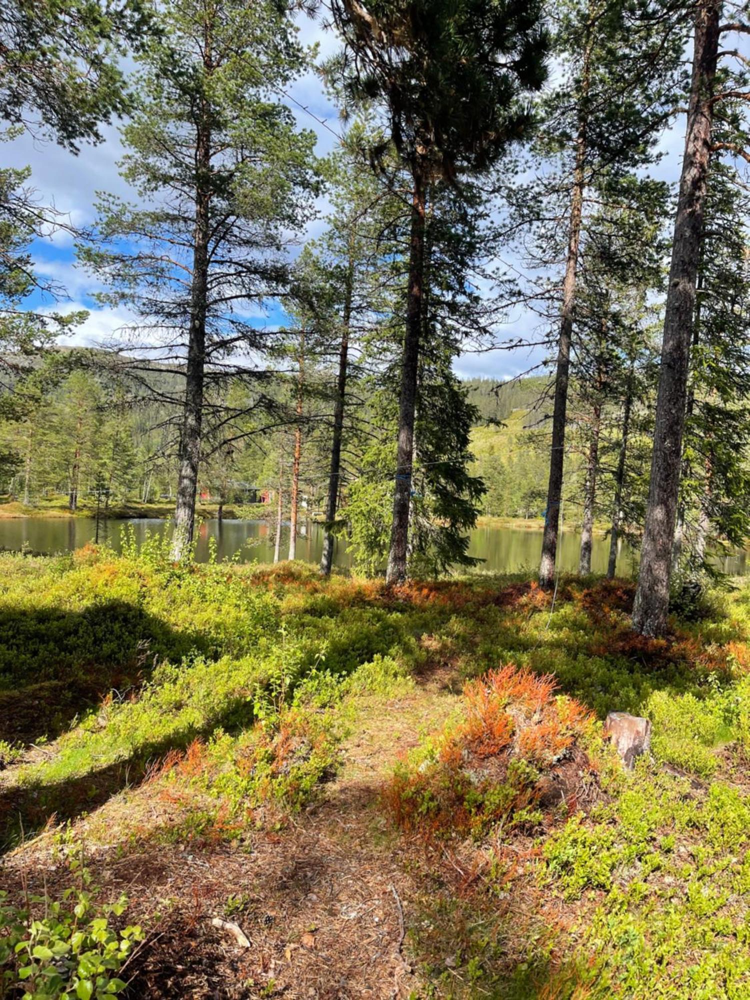 Vila Hytta Pa Oyfjell Exteriér fotografie