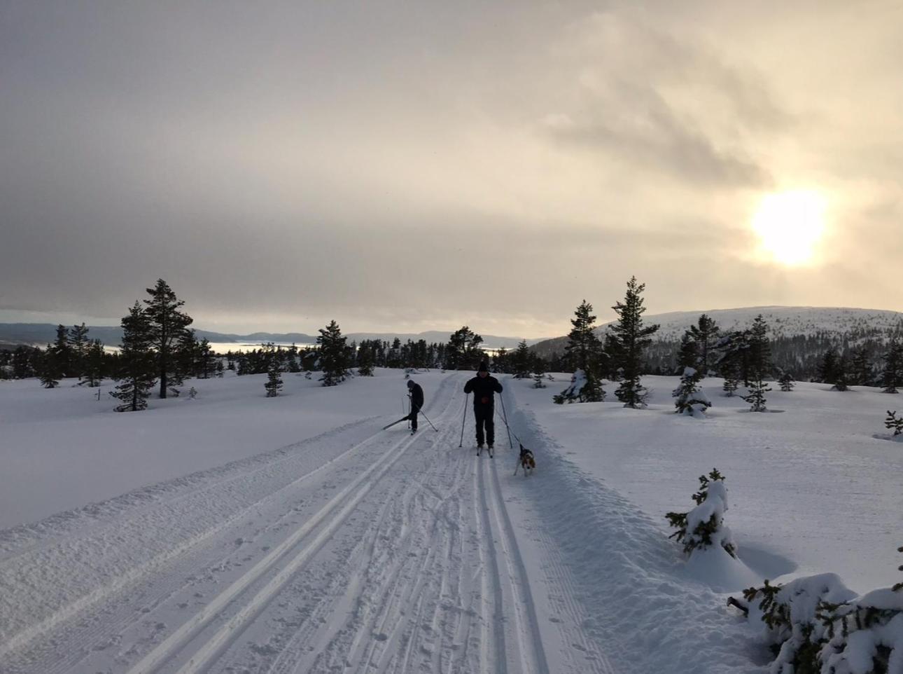 Vila Hytta Pa Oyfjell Exteriér fotografie