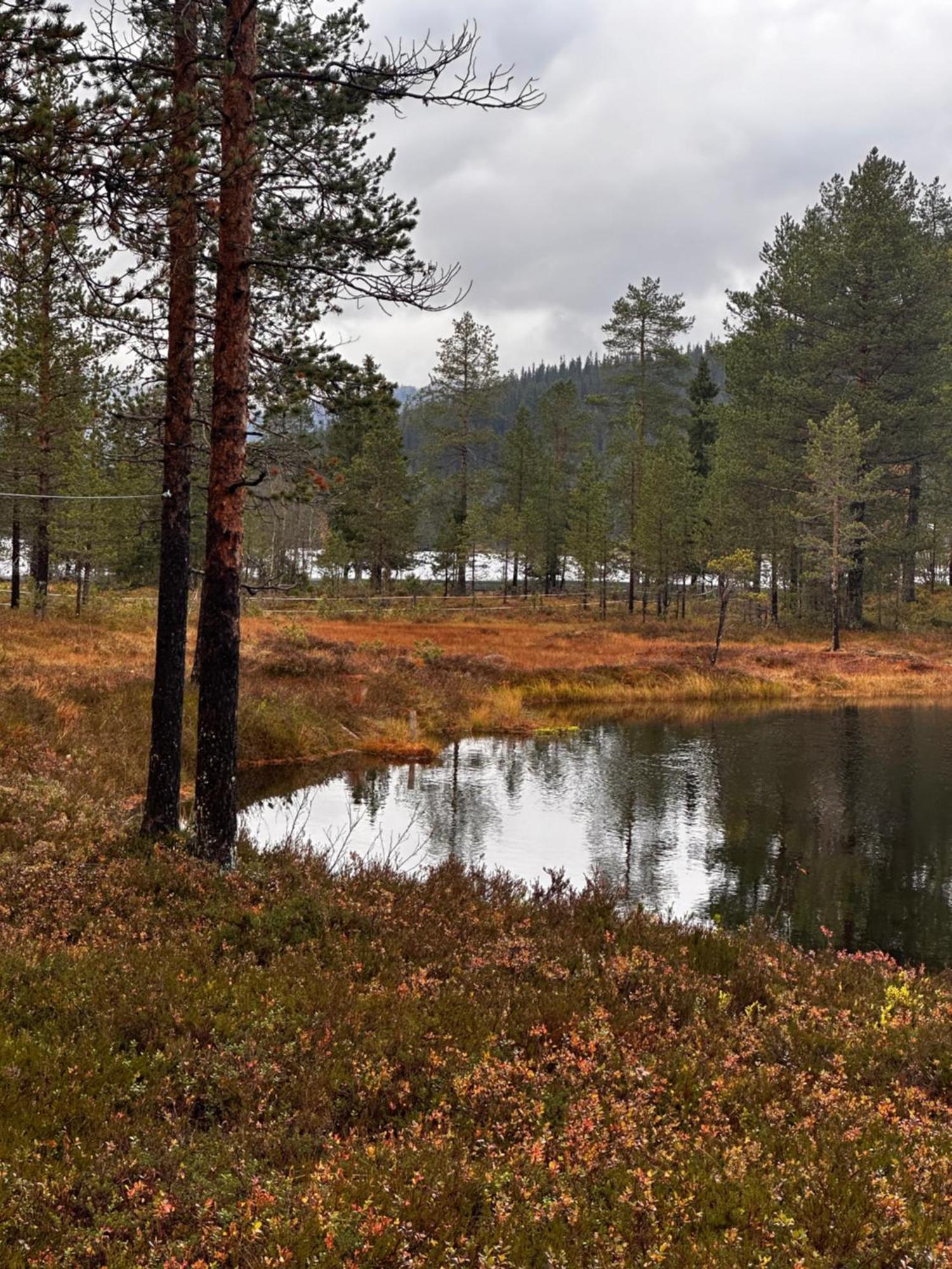 Vila Hytta Pa Oyfjell Exteriér fotografie
