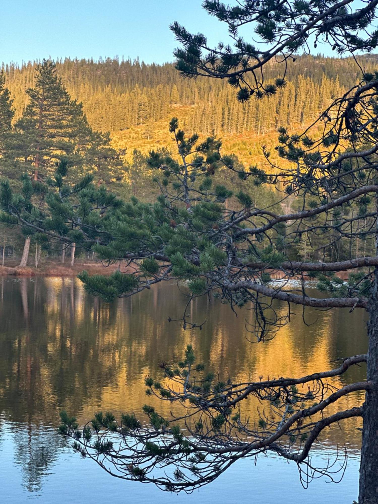 Vila Hytta Pa Oyfjell Exteriér fotografie